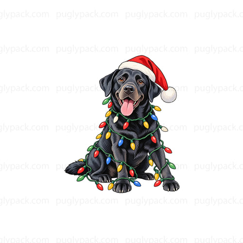 Black Labrador Christmas Lights Family Matching Pajamas